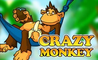 Crazy Monkey